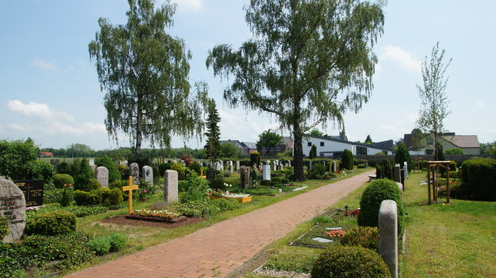 DSC08528.JPG